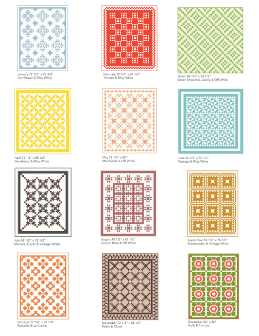 A Year In Solids Quilt Booklet By Jessica Dayon - The QuilTea Corner