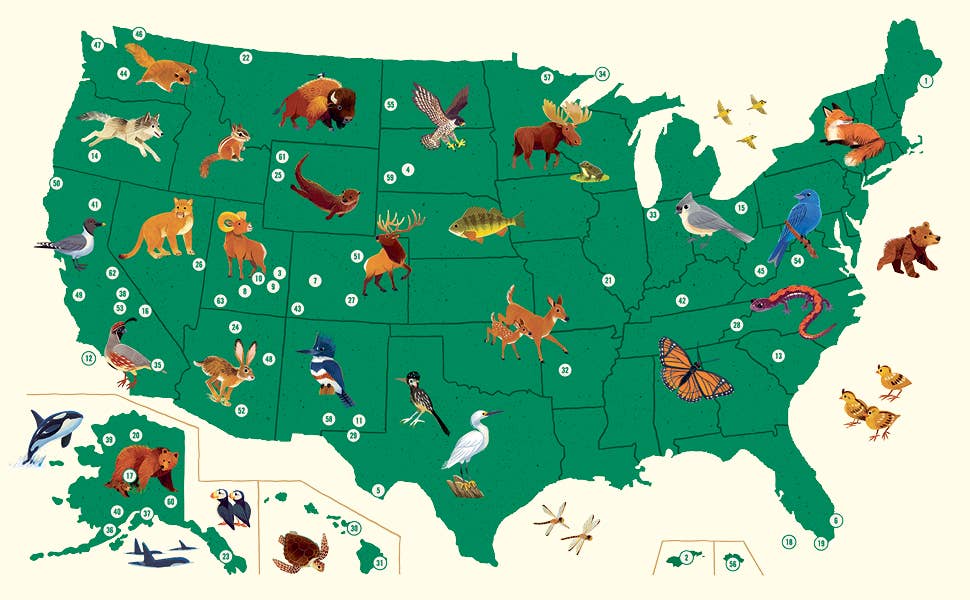 Animals of the National Parks - The QuilTea Corner