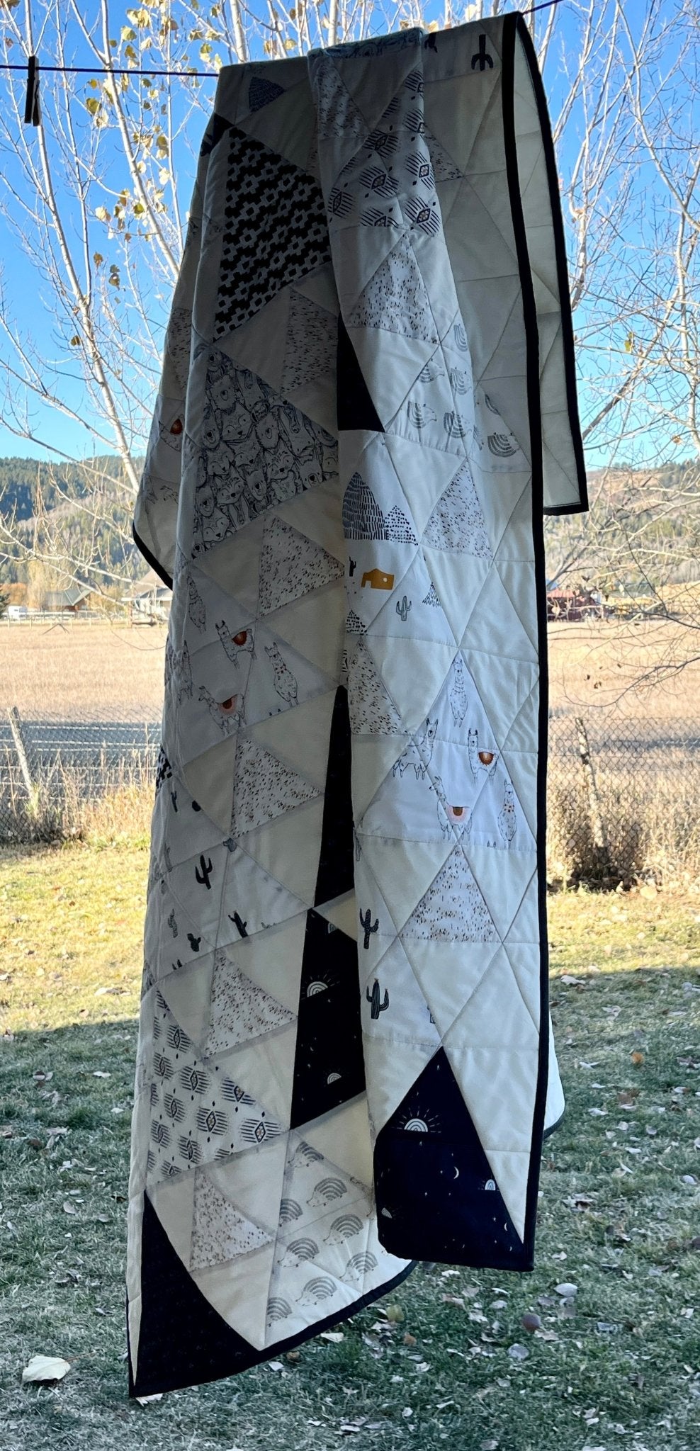 ๐งต๐ต Pacha Throw Quilt โ A Cozy, Playful Sanctuary for the Modern Home - The QuilTea Corner