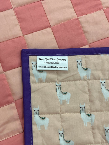 Pink and Teal Checkered Baby Quilt and Book Bundle