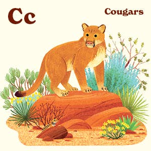 Animals of the National Parks - The QuilTea Corner