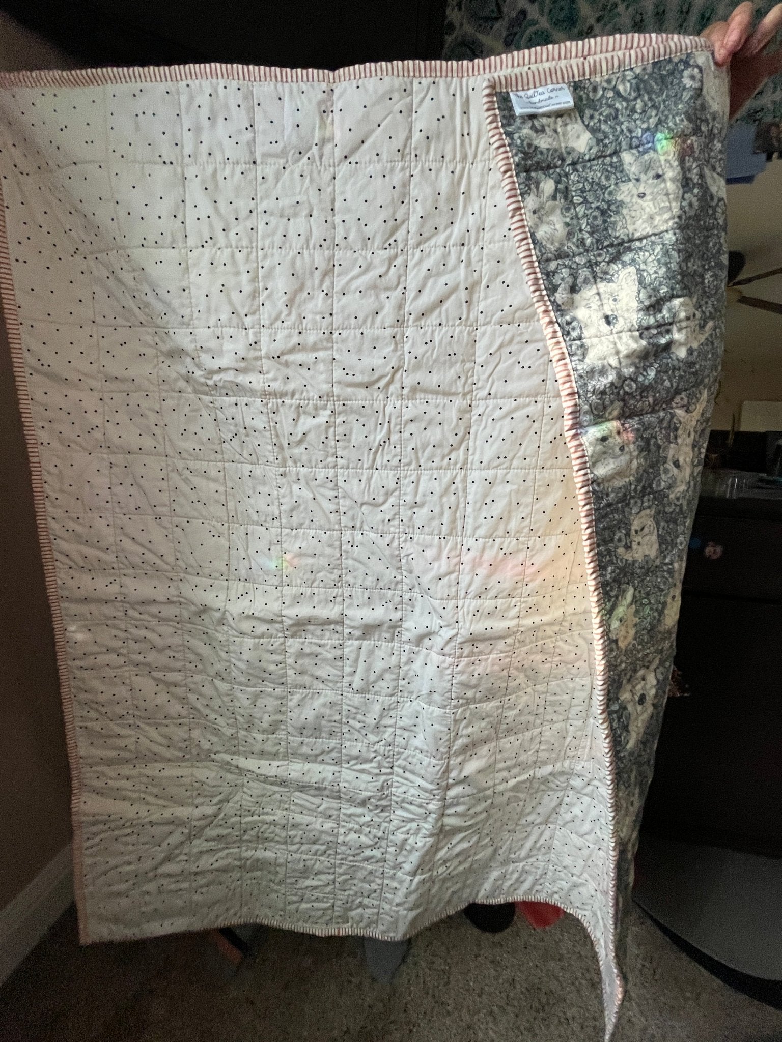 Wholecloth Quilt & Book Bundle – Firefly Whisper + I Want My Hat Back - The QuilTea Corner