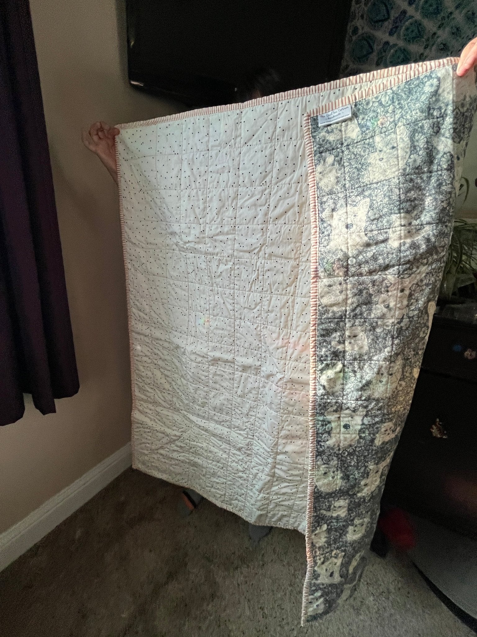 Wholecloth Quilt & Book Bundle – Firefly Whisper + I Want My Hat Back - The QuilTea Corner