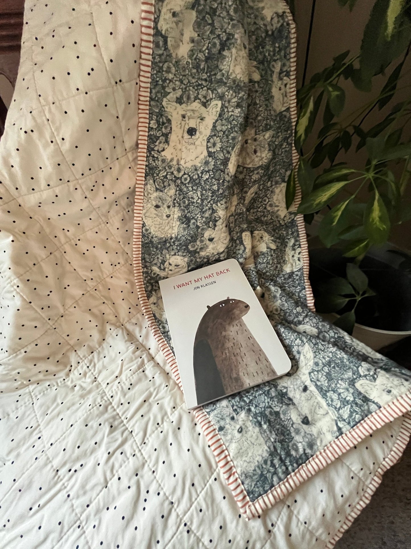 Wholecloth Quilt & Book Bundle – Firefly Whisper + I Want My Hat Back - The QuilTea Corner