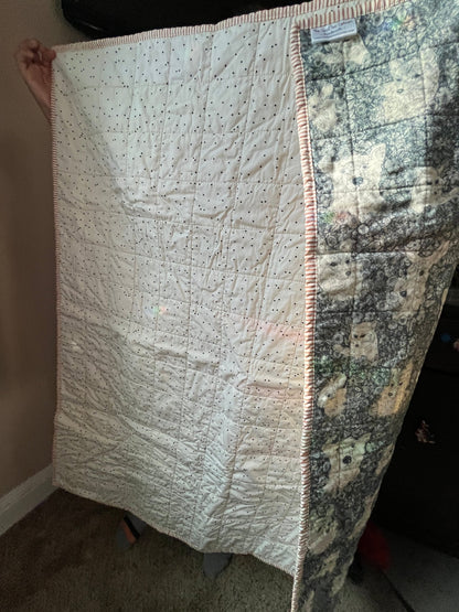 Wholecloth Quilt & Book Bundle – Firefly Whisper + I Want My Hat Back - The QuilTea Corner