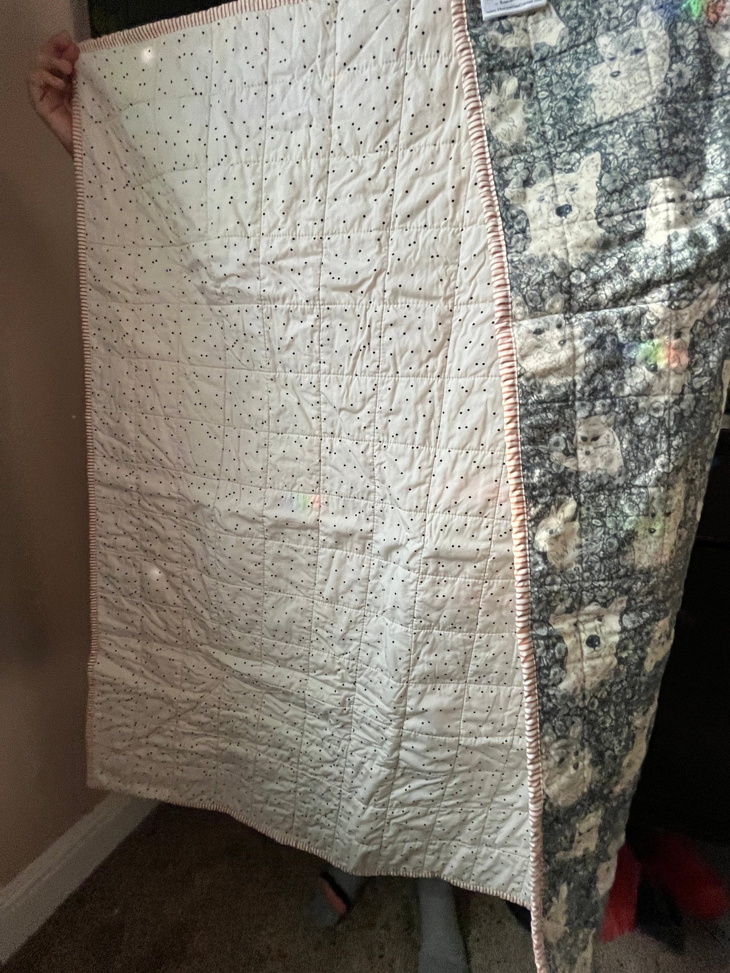 Wholecloth Quilt & Book Bundle – Firefly Whisper + I Want My Hat Back - The QuilTea Corner