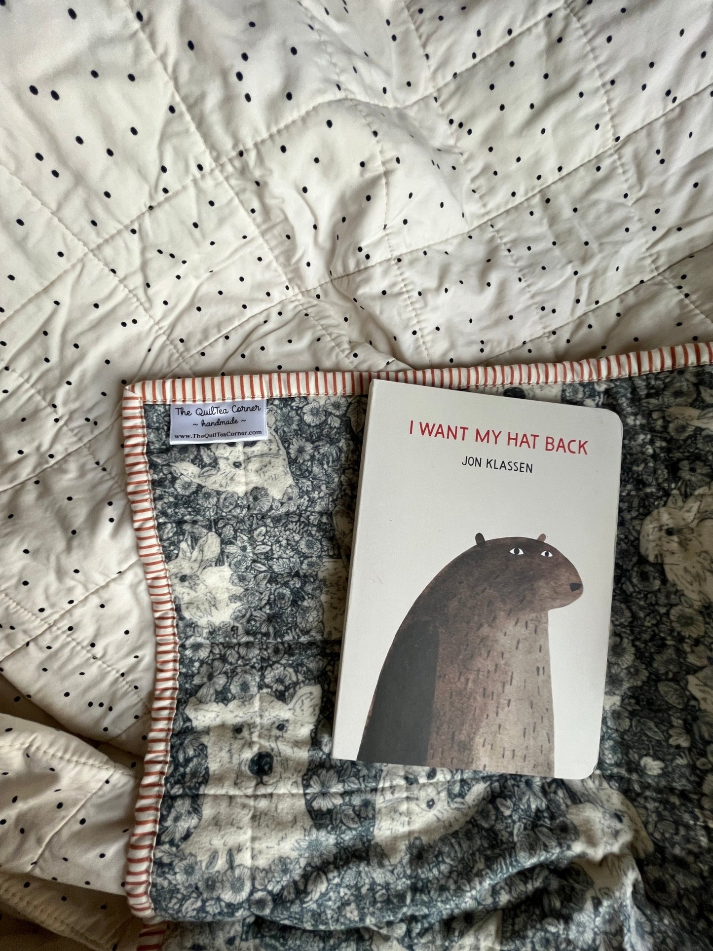 Wholecloth Quilt & Book Bundle – Firefly Whisper + I Want My Hat Back - The QuilTea Corner