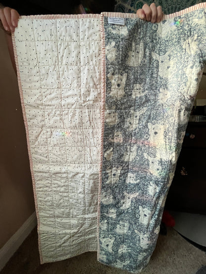 Wholecloth Quilt & Book Bundle – Firefly Whisper + I Want My Hat Back - The QuilTea Corner