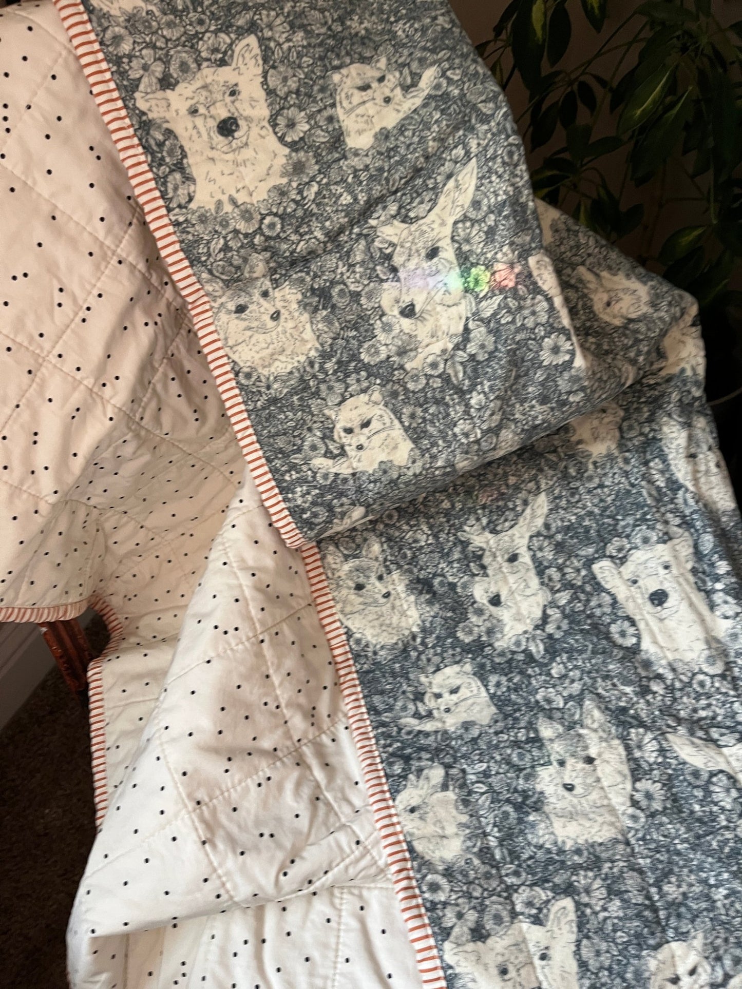 Wholecloth Quilt & Book Bundle – Firefly Whisper + I Want My Hat Back - The QuilTea Corner